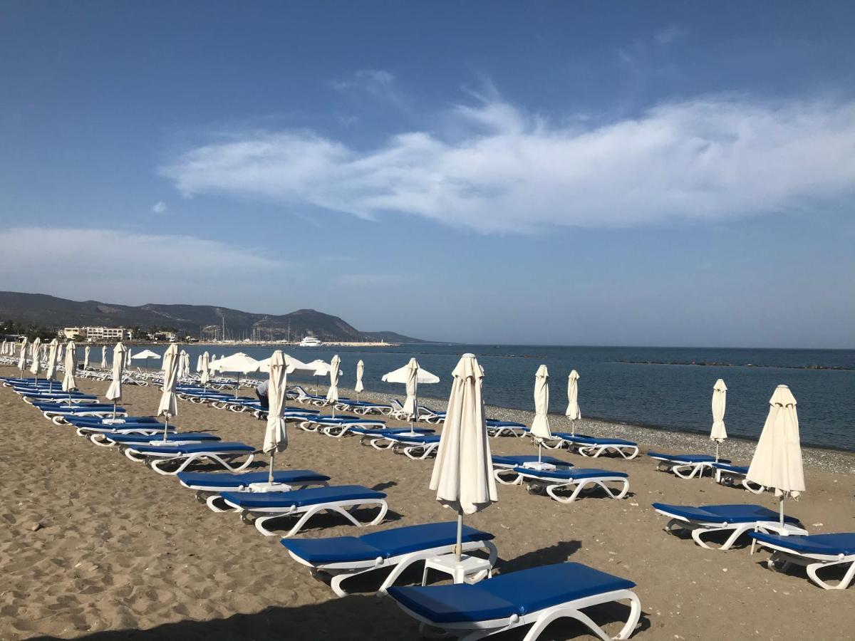 Andromeda Beach House Polis Ngoại thất bức ảnh
