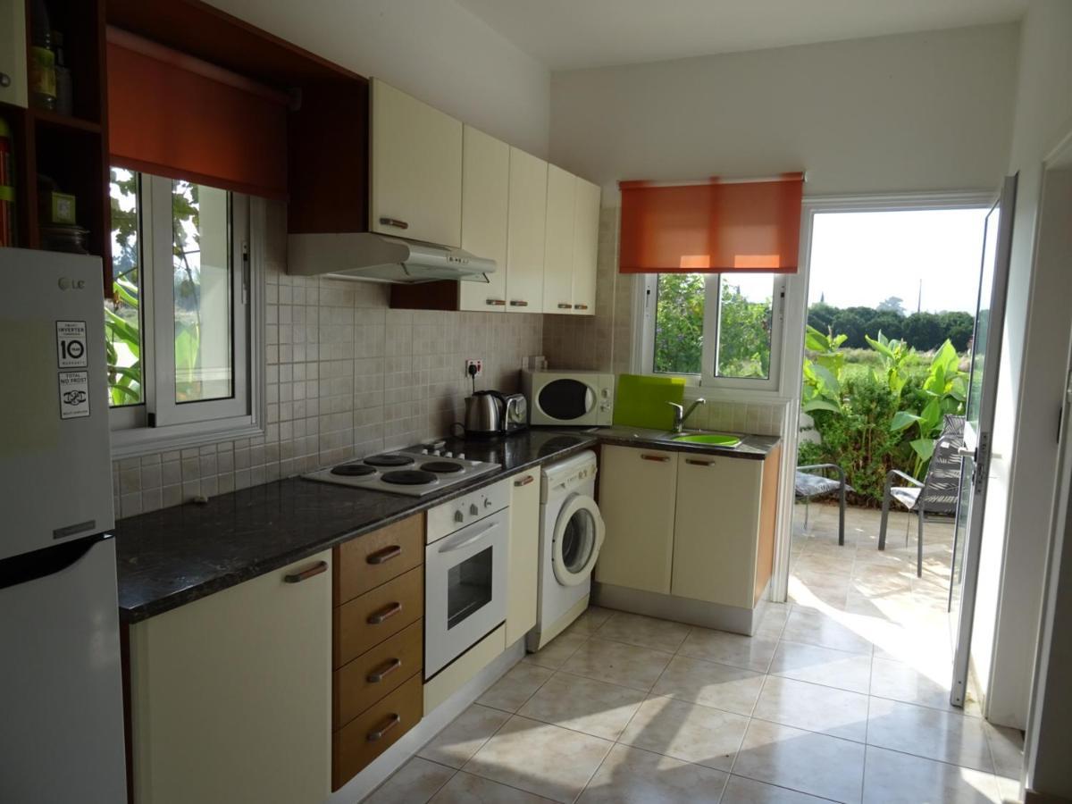 Andromeda Beach House Polis Ngoại thất bức ảnh